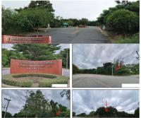 ที่ดินเปล่าหลุดจำนอง ธ.ธนาคารกรุงไทย นครปฐม เมืองนครปฐม วังเย็น
