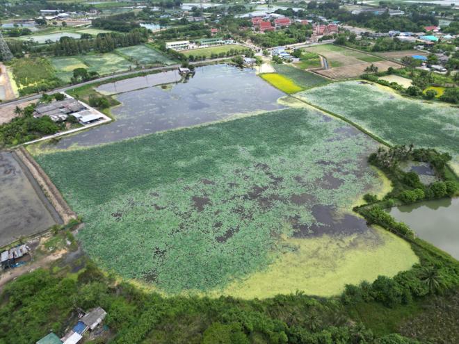 ที่ดินว่างเปล่าหลุดจำนอง ธ.ธนาคารกสิกรไทย นครปฐม กำแพงแสน สระพัฒนา