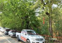 ที่ดินว่างเปล่าหลุดจำนอง ธ.ธนาคารกสิกรไทย นครปฐม นครชัยศรี ขุนแก้ว
