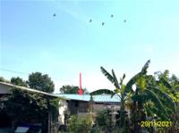 บ้านเดี่ยวหลุดจำนอง ธ.ธนาคารกสิกรไทย นครปฐม บางเลน นิลเพชร